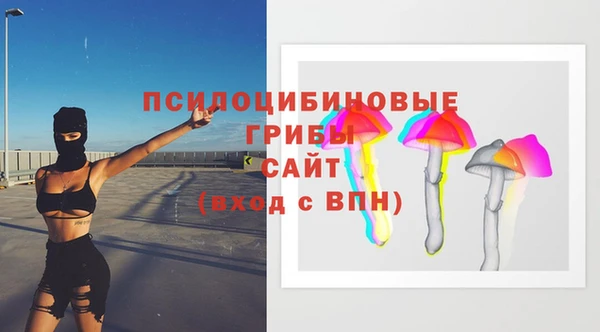 не бодяженный Алексин