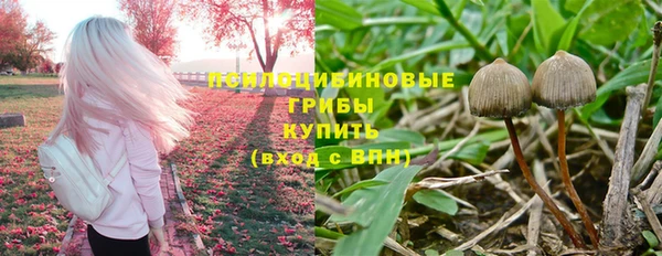 ешки Алексеевка