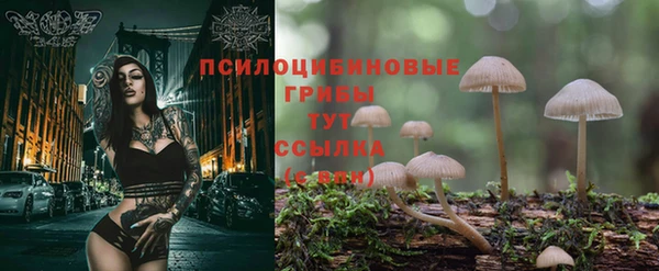 молекула духа Абинск