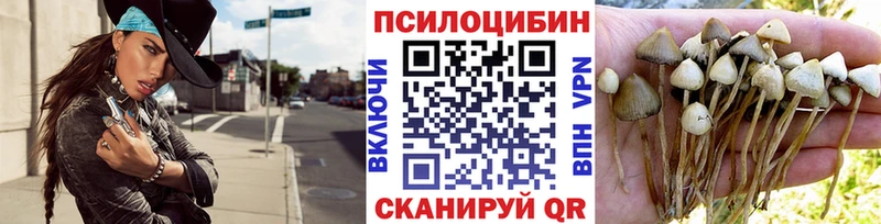 сайты даркнета Telegram  Советский  Псилоцибиновые грибы прущие грибы 